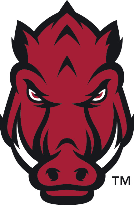 Arkansas Razorbacks 2014-Pres Secondary Logo diy fabric transfer